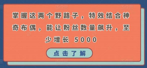 掌握这两个野路子，特效结合神奇布偶，能让粉丝数量飙升，至少增长 5000-鲤鱼笔记