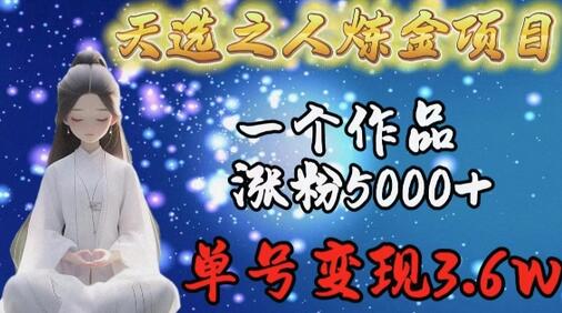 天选之人炼金项目，一个作品涨粉5000+，单号变现3.6w-鲤鱼笔记