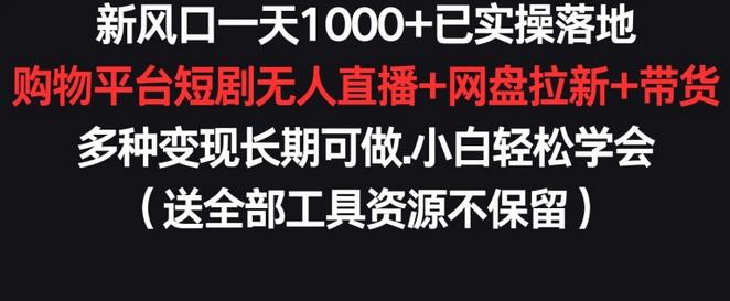 新风口一天1000+已实操落地购物平台短剧无人直播+网盘拉新+带货多种变现长期可做-鲤鱼笔记