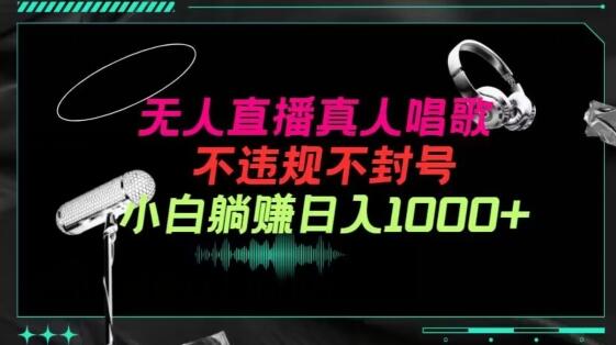 抖音24小时无人直播音乐，不违规，不封号纯撸音浪，小白实操当天日入1000+-鲤鱼笔记