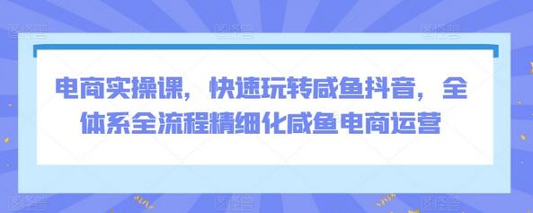 电商实操课，快速玩转咸鱼抖音，全体系全流程精细化咸鱼电商运营-鲤鱼笔记