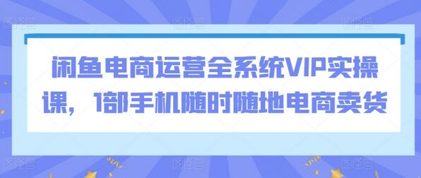 闲鱼电商运营全系统VIP实操课，1部手机随时随地电商卖货-鲤鱼笔记