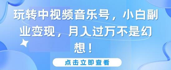 玩转中视频音乐号，小白副业变现，月入过万不是幻想-鲤鱼笔记