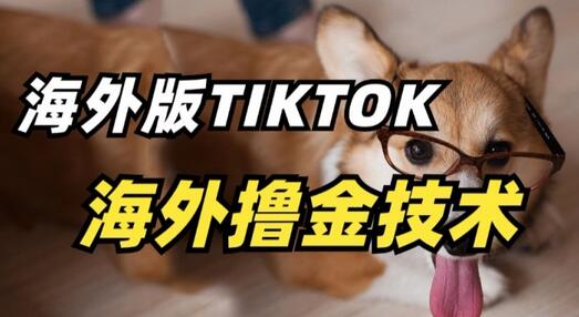 抖音海外版tiktok撸金技术，这个风口行业，赚钱真的不难-鲤鱼笔记