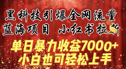 蓝海项目!黑科技引爆全网流量小红书拉新，单日暴力收益7000+，小白也能轻松上手-鲤鱼笔记