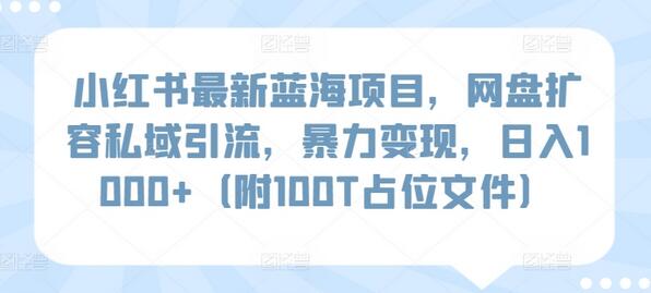 小红书最新蓝海项目，网盘扩容私域引流，暴力变现，日入1000+（附100T占位文件）-鲤鱼笔记