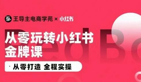 王导主·小红书电商运营实操课，​从零打造  全程实操-鲤鱼笔记