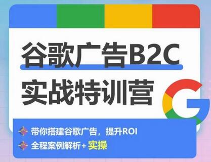 谷歌广告B2C实战特训营，500+谷歌账户总结经验，实战演示如何从0-1搭建广告账户-鲤鱼笔记