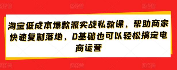 淘宝低成本爆款流实战私教课，帮助商家快速复制落地，0基础也可以轻松搞定电商运营-鲤鱼笔记