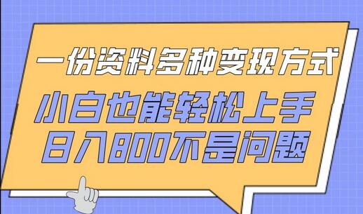 一份资料多种变现方式，小白也能轻松上手，日入800不是问题-鲤鱼笔记