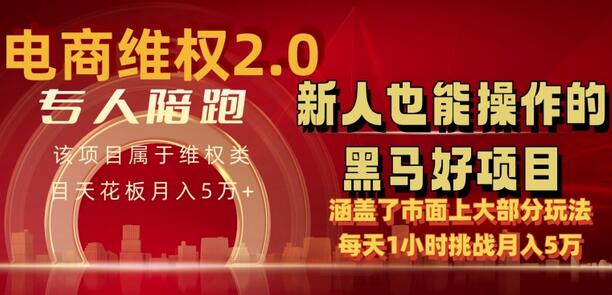 电商维Q4.0 如何做到月入 5 万+每天 1 小时新人也能快速上手-鲤鱼笔记