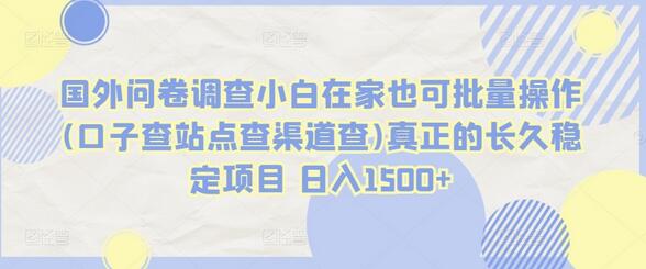 国外问卷调查小白在家也可批量操作(口子查站点查渠道查)真正的长久稳定项目 日入1500+-鲤鱼笔记