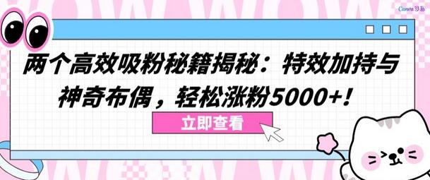 两个高效吸粉秘籍揭秘：特效加持与神奇布偶，轻松涨粉5000+-鲤鱼笔记