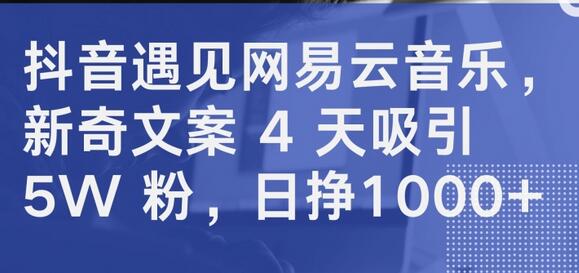 抖音遇见网易云音乐，新奇文案 4 天吸引 5W 粉，日挣1000+-鲤鱼笔记