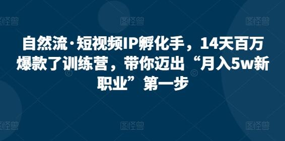 自然流·短视频IP孵化手，14天百万爆款了训练营，带你迈出“月入5w新职业”第一步-鲤鱼笔记