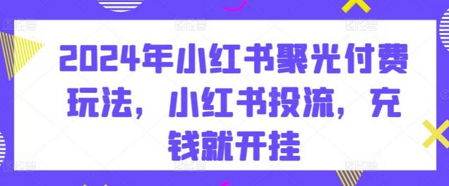 2024年小红书聚光付费玩法，小红书投流，充钱就开挂-鲤鱼笔记