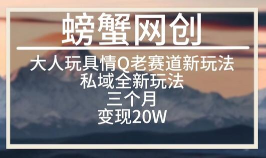 大人玩具情Q用品赛道私域全新玩法，三个月变现20W，老项目新思路-鲤鱼笔记