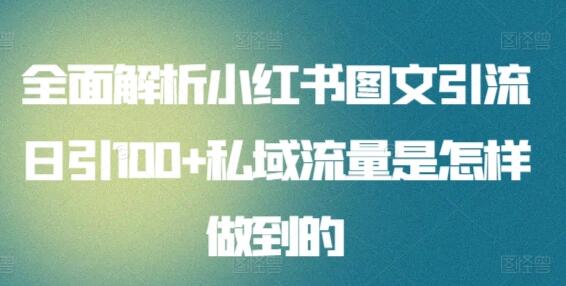 全面解析小红书图文引流日引100+私域流量是怎样做到的-鲤鱼笔记