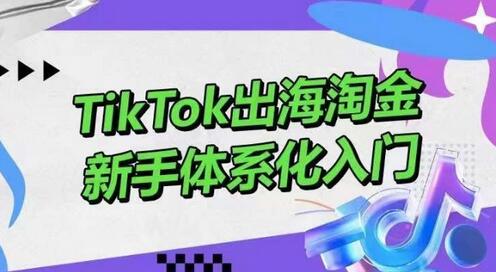 TikTok出海淘金，新手体系化入门，零基础快速入门，掌握短视频、直播带货等引流到变现的知识-鲤鱼笔记