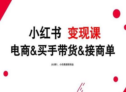 2024年最新小红书变现课，电商&买手带货&接商单，从0到1，小白高效轻创业-鲤鱼笔记