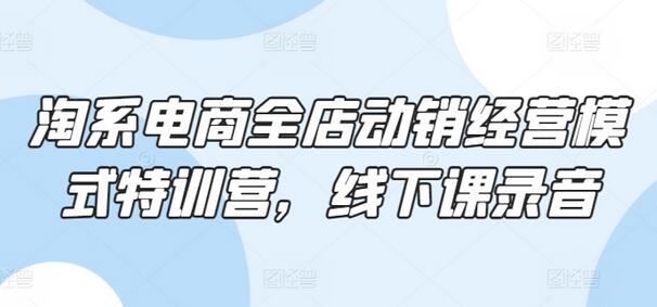 淘系电商全店动销经营模式特训营，线下课录音-鲤鱼笔记