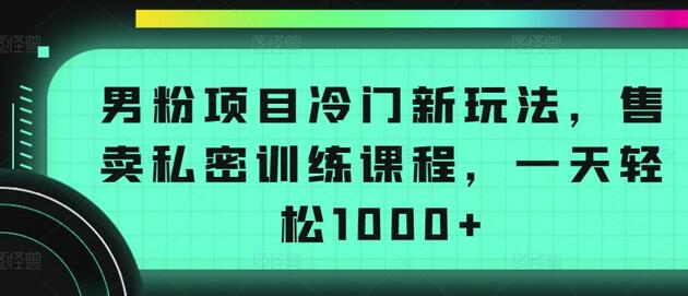 男粉项目冷门新玩法，售卖私密训练课程，一天轻松1000+-鲤鱼笔记