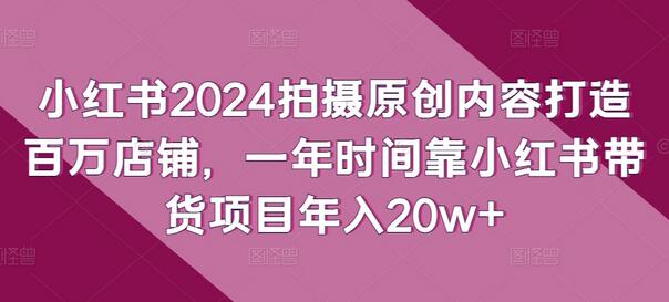 小红书2024拍摄原创内容打造百万店铺，一年时间靠小红书带货项目年入20w+-鲤鱼笔记