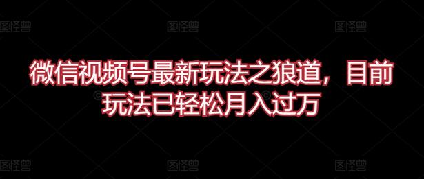 微信视频号最新玩法之狼道，目前玩法已轻松月入过万-鲤鱼笔记