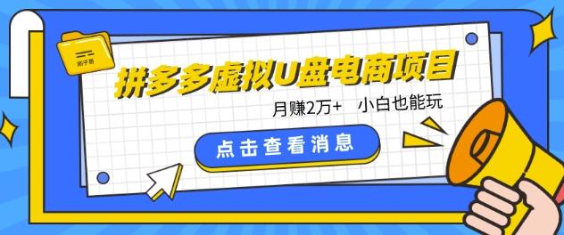 拼多多虚拟U盘电商红利项目：月赚2万+，新手小白也能玩-鲤鱼笔记