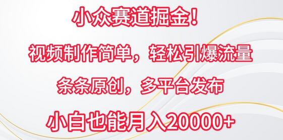 小众赛道掘金，视频制作简单，轻松引爆流量，条条原创，多平台发布-鲤鱼笔记