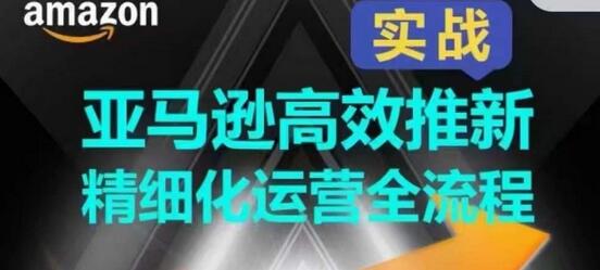 亚马逊高效推新精细化运营全流程，全方位、快速拉升产品排名和销量!-鲤鱼笔记