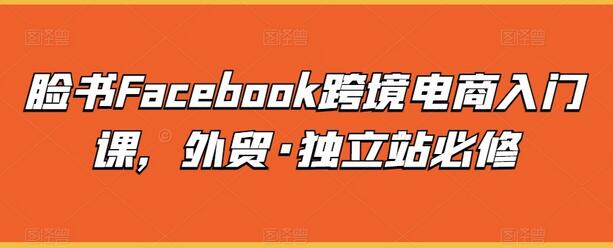 脸书Facebook跨境电商入门课，外贸·独立站必修-鲤鱼笔记