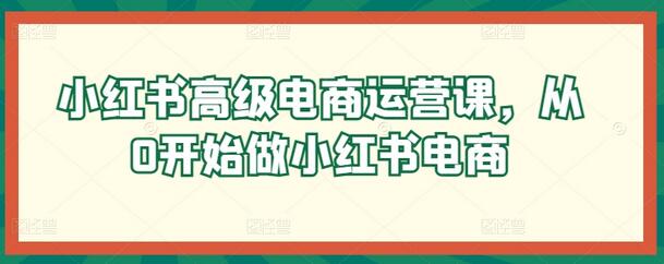 小红书高级电商运营课，从0开始做小红书电商-鲤鱼笔记