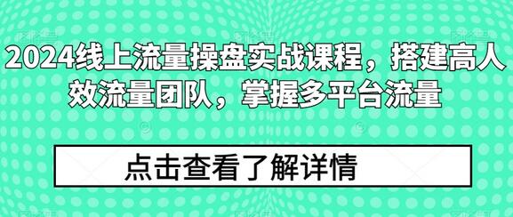 2024线上流量操盘实战课程，搭建高人效流量团队，掌握多平台流量-鲤鱼笔记