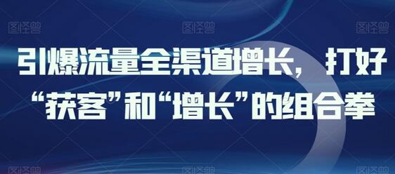 引爆流量全渠道增长，打好“获客”和“增长”的组合拳-鲤鱼笔记