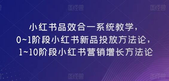 小红书品效合一系统教学，​0~1阶段小红书新品投放方法论，​1~10阶段小红书营销增长方法论-鲤鱼笔记