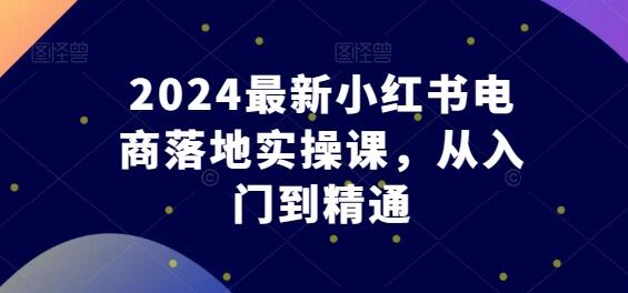 2024最新小红书电商落地实操课，从入门到精通-鲤鱼笔记