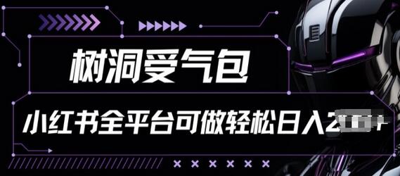 小红书等全平台树洞受气包项目，轻松日入一两张