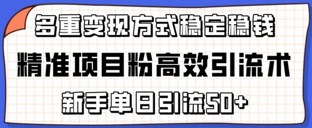 精准项目粉高效引流术，新手单日引流50+，多重变现方式稳定赚钱-鲤鱼笔记