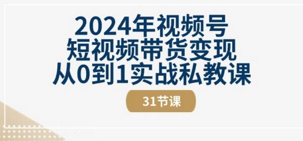 2024年视频号短视频带货变现从0到1实战私教课(31节视频课)