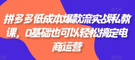 拼多多低成本爆款流实战私教课，0基础也可以轻松搞定电商运营