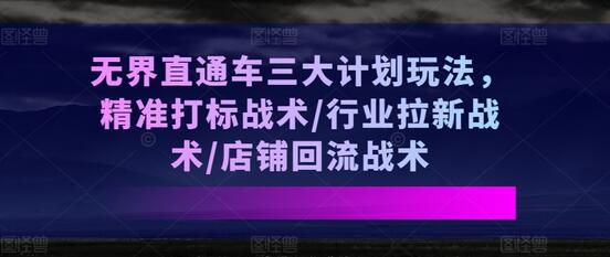 无界直通车三大计划玩法，精准打标战术/行业拉新战术/店铺回流战术