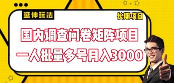 国内调查问卷矩阵项目，一人批量多号月入3000