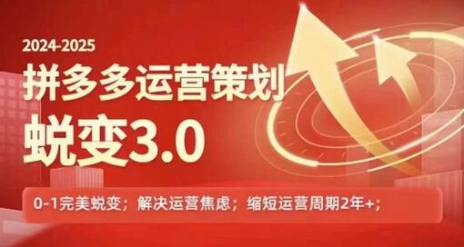 2024-2025拼多多运营策略蜕变3.0，0~1完美蜕变，解决信息焦虑