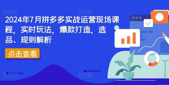 2024年7月拼多多实战运营现场课程，实时玩法，爆款打造，选品、规则解析