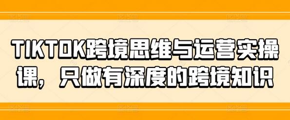 TIKTOK跨境思维与运营实操课，只做有深度的跨境知识