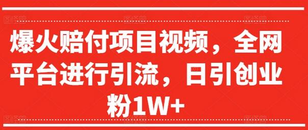 爆火赔付项目视频，全网平台进行引流，日引创业粉1W+