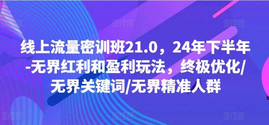 线上流量密训班21.0，24年下半年-无界红利和盈利玩法，终极优化/无界关键词/无界精准人群