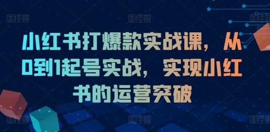 小红书打爆款实战课，从0到1起号实战，实现小红书的运营突破