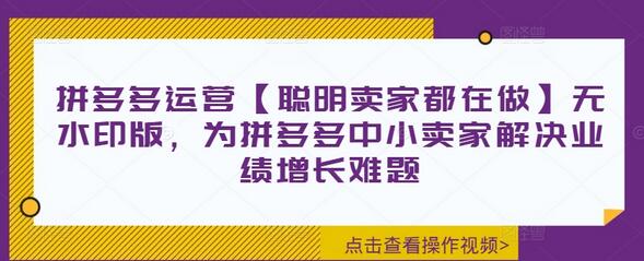 拼多多运营【聪明卖家都在做】无水印版，为拼多多中小卖家解决业绩增长难题